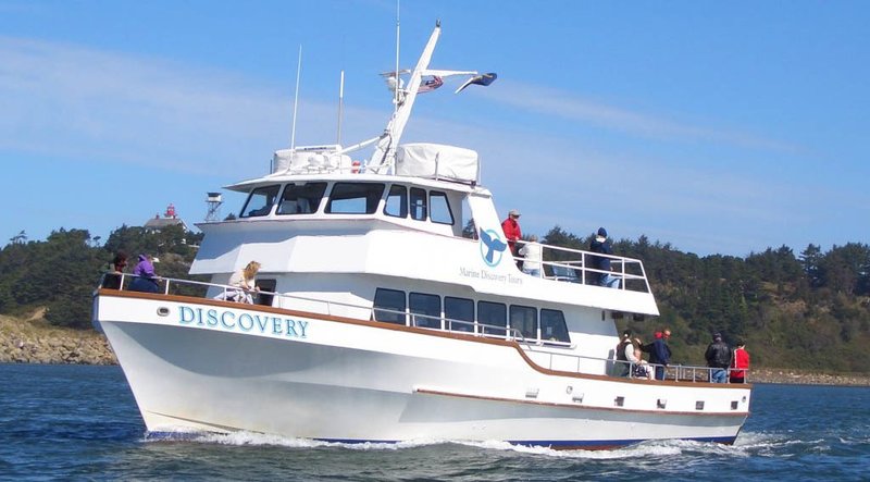 Marine Discovery Tours