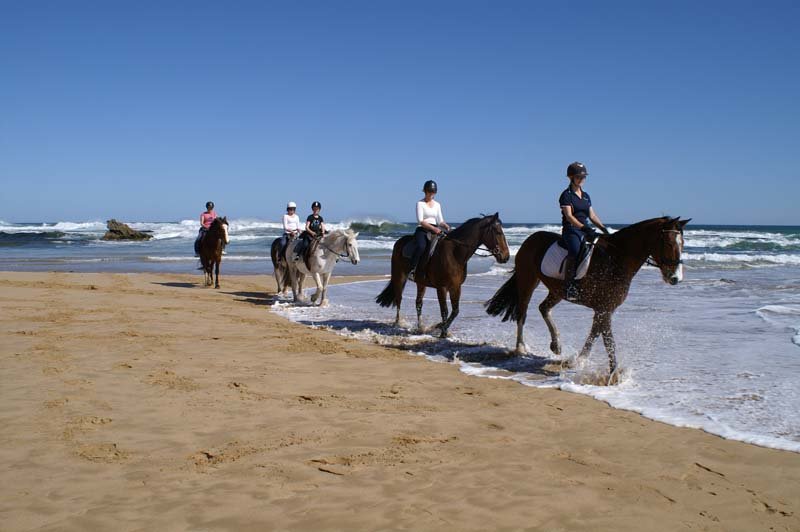 C & M Stables / Horseback Riding