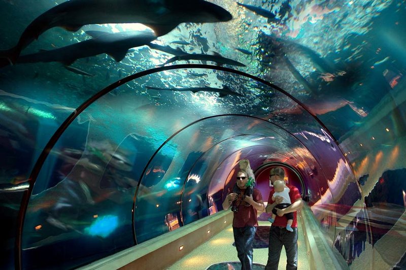 Oregon Coast Aquarium