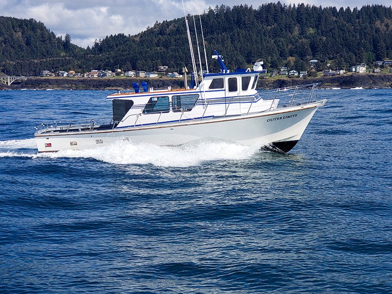 Dockside Charters and Whale Watching Tours