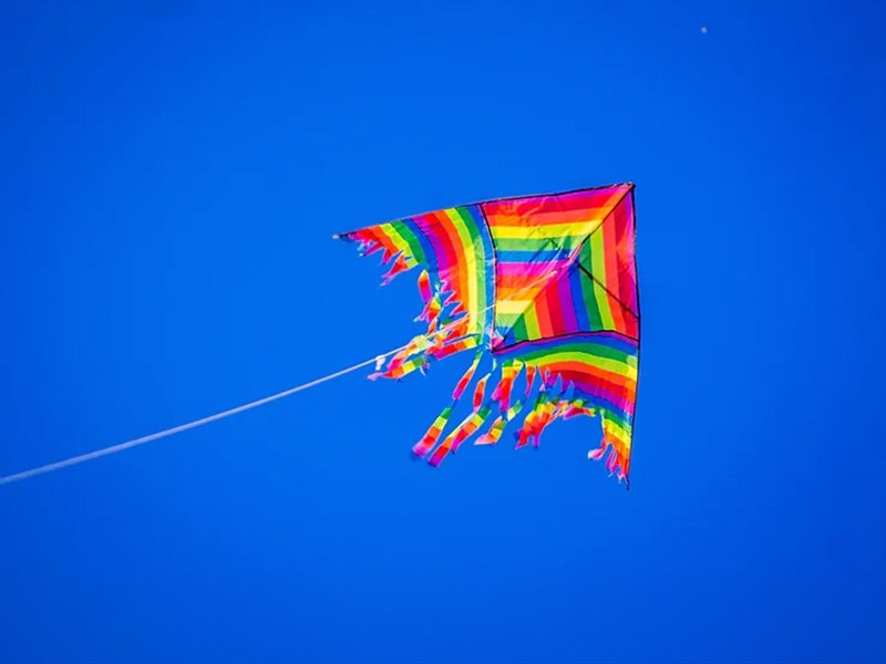 The Kite Company