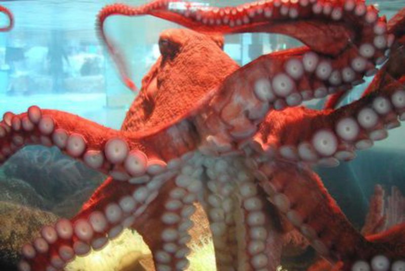 Hatfield Marine Science Center