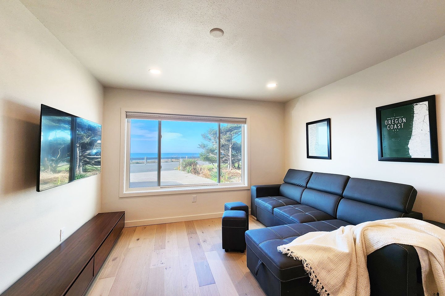 Sitting area includes a queen sleeper pull out and television.