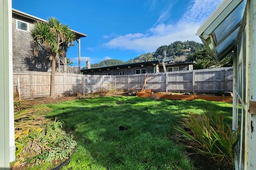 Large space to frolic in.