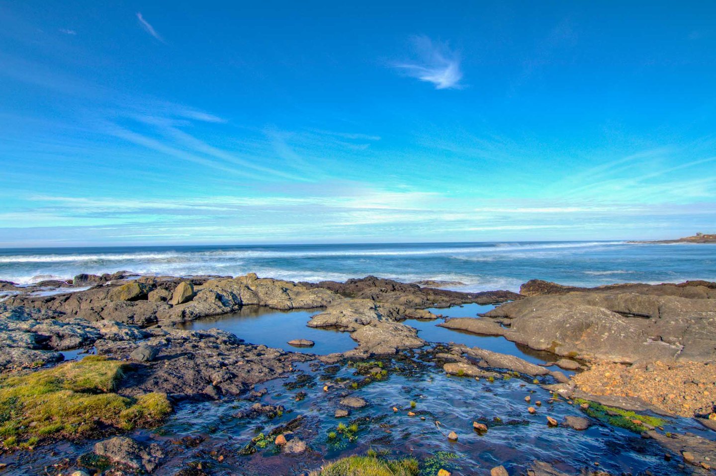 Wonderful tide pools and places to discover along Ocean View Drive.