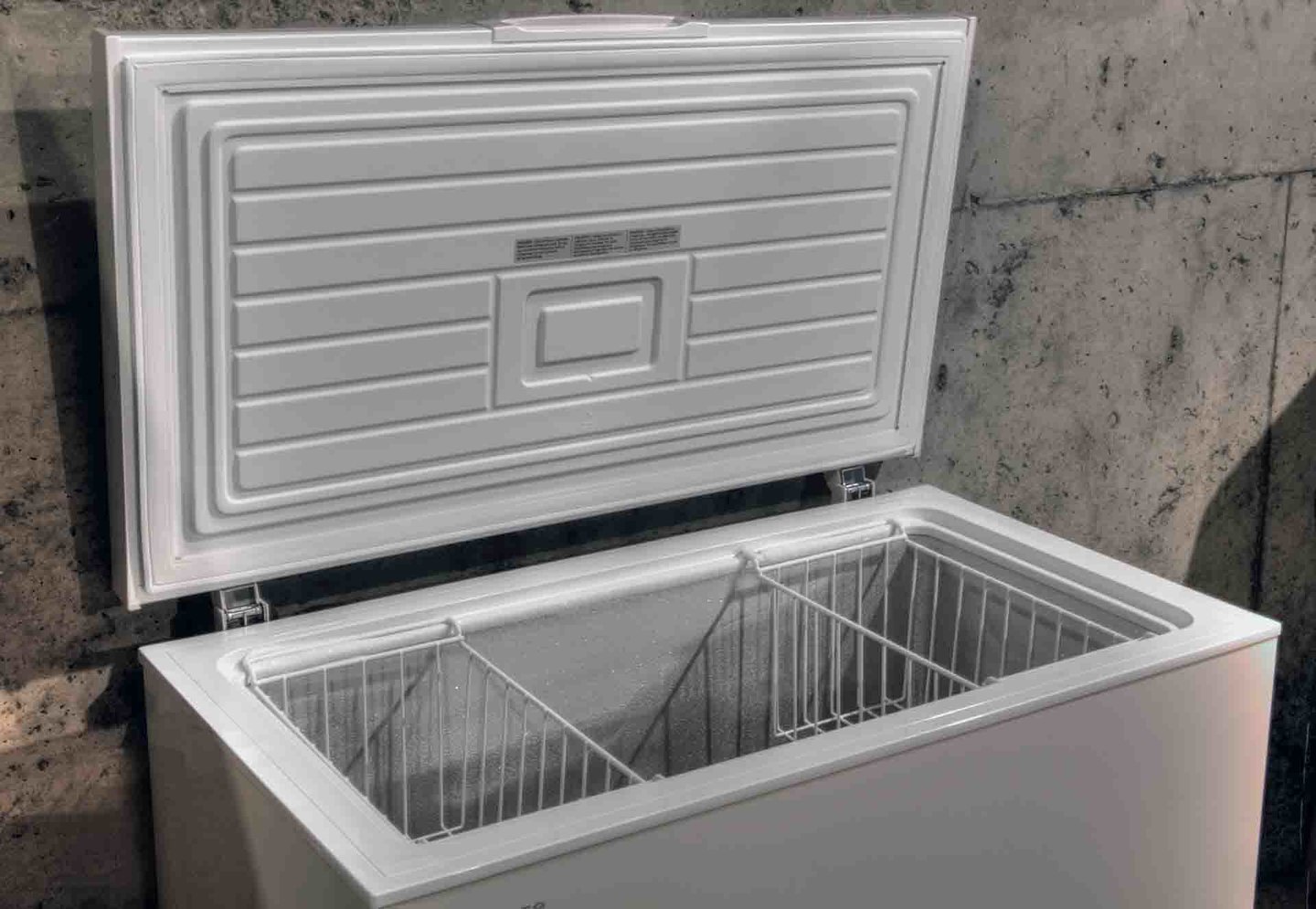 Freezer in garage for your daily catch or Costco run.
