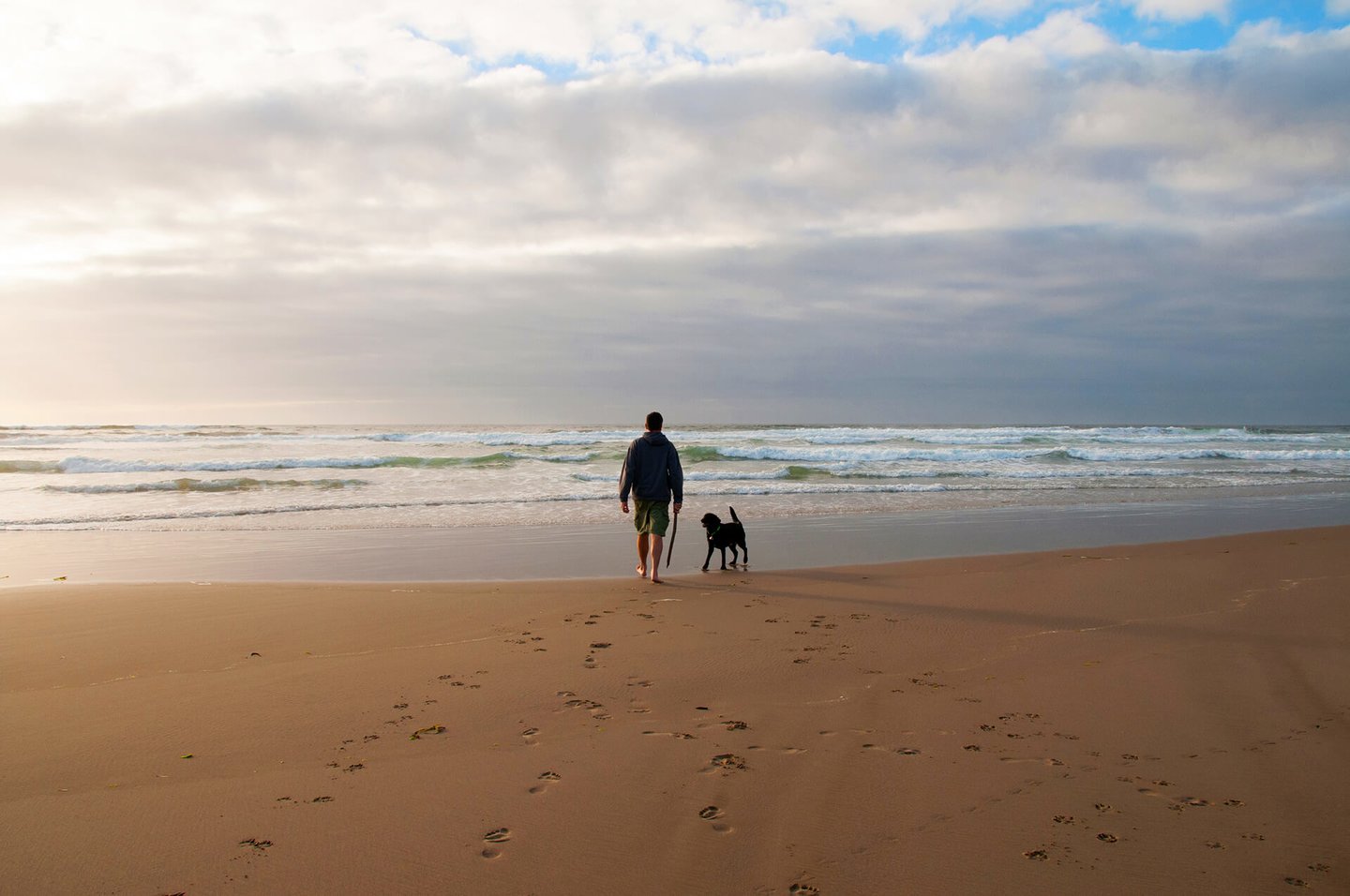 Pet-friendly, bring along your best friends.