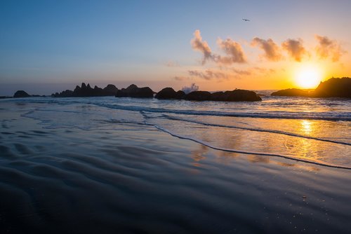 View iconic rocks at Seal Rock. Only 5 minutes away.