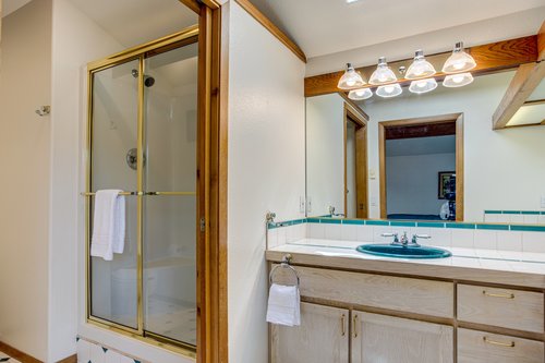 Master bath with skylight and beautiful tile step-in shower.