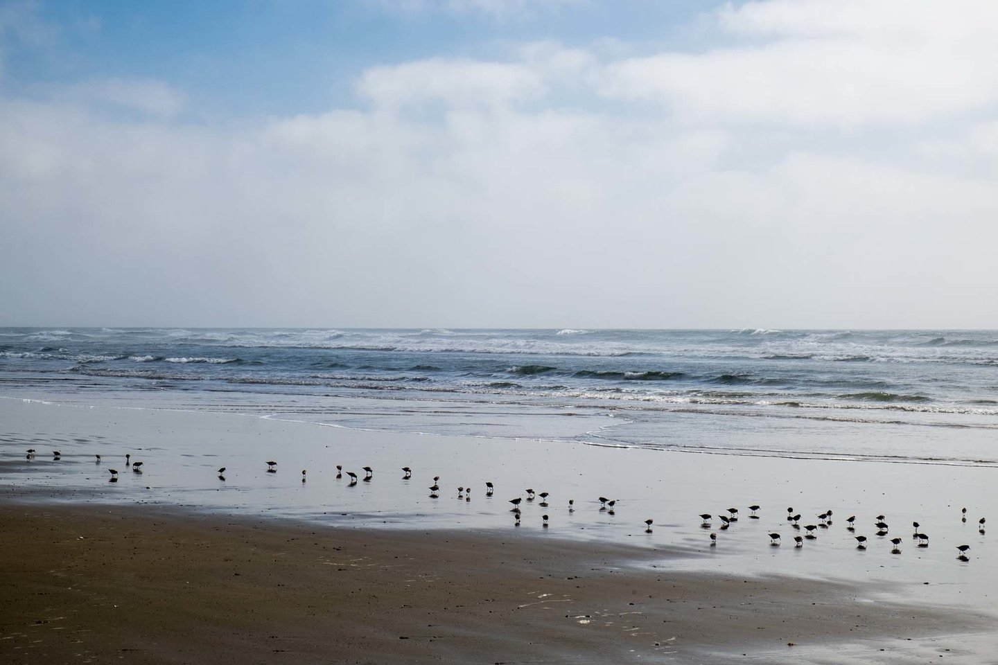 Yachats River Bay has a sandy beach to be enjoyed.