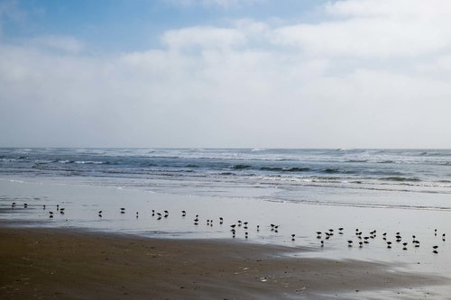 Yachats River Bay has a sandy beach to be enjoyed.