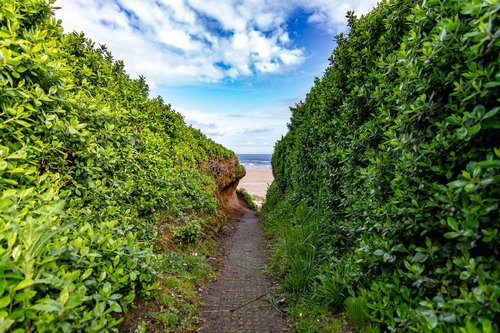 Shared path to the beach- just a couple minute walk from the house.