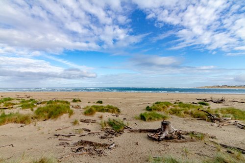 Spend your day on the beach looking for shells, agates and driftwood.