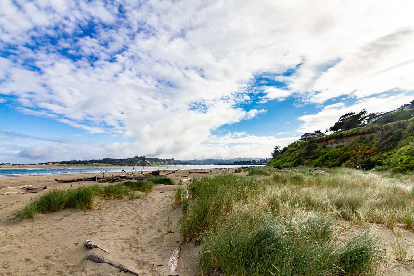 Looking north toward the mouth of the Alsea River.