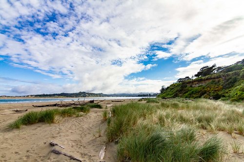 Looking north toward the mouth of the Alsea River.