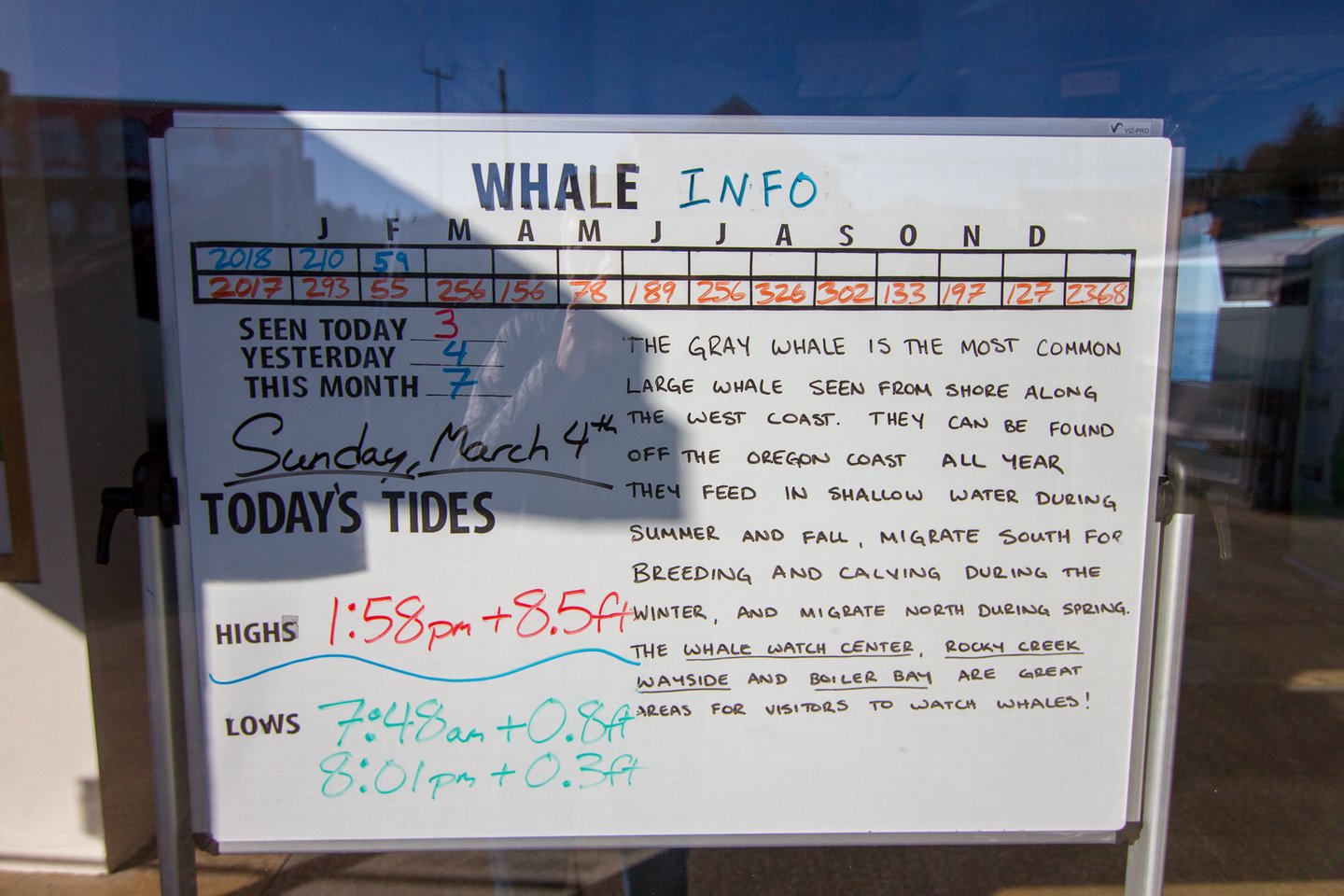 See how many whales have been spotted!