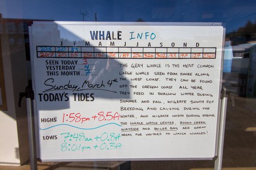 See how many whales have been spotted!