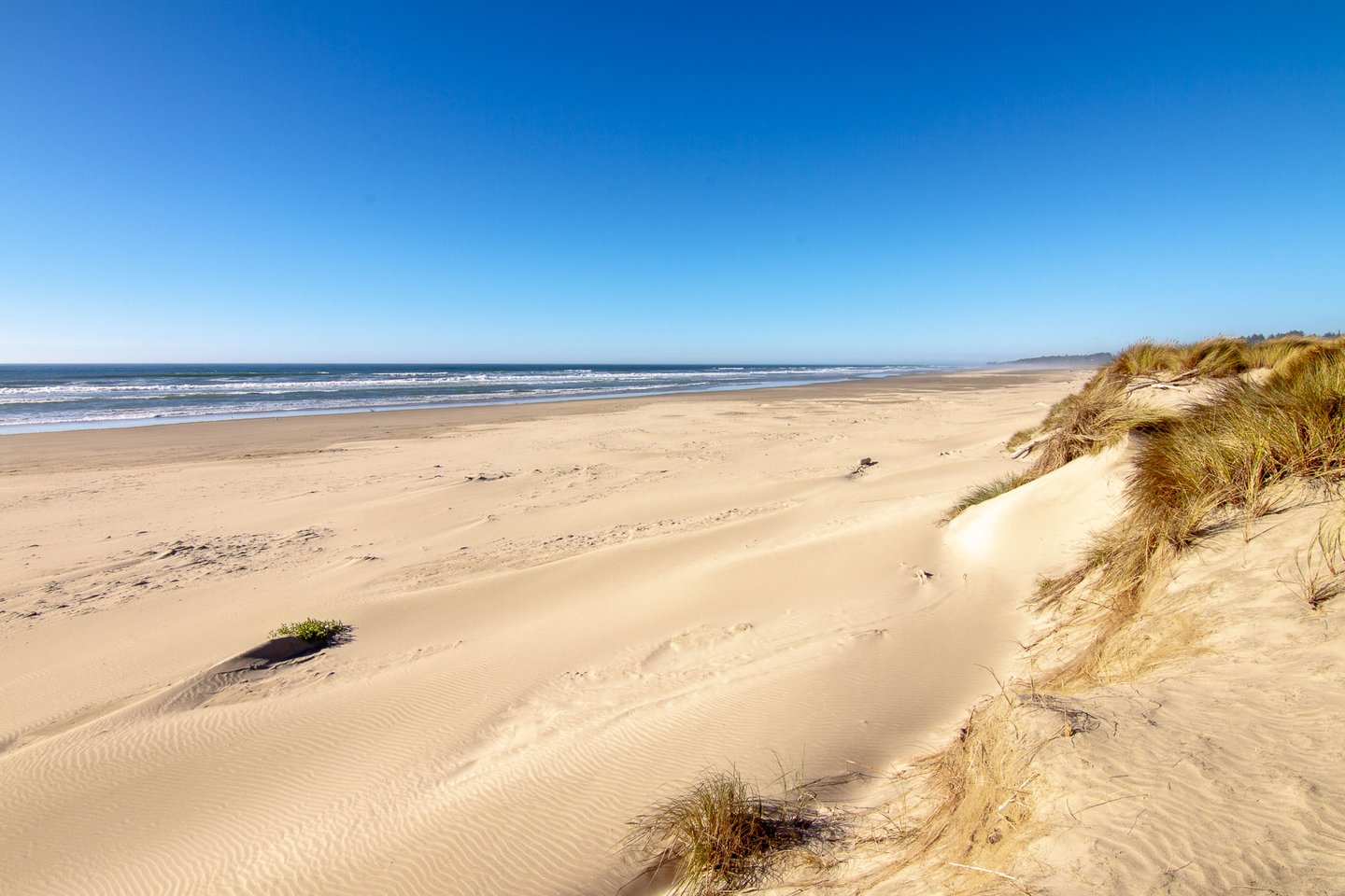 Explore the waves and the sandy beaches.
