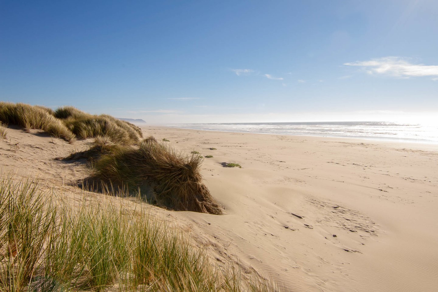 Explore the waves and the sandy beaches.