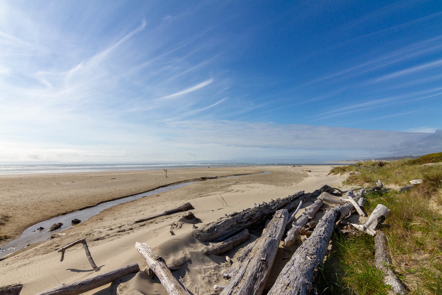 Beach looking north to Alsea Bay