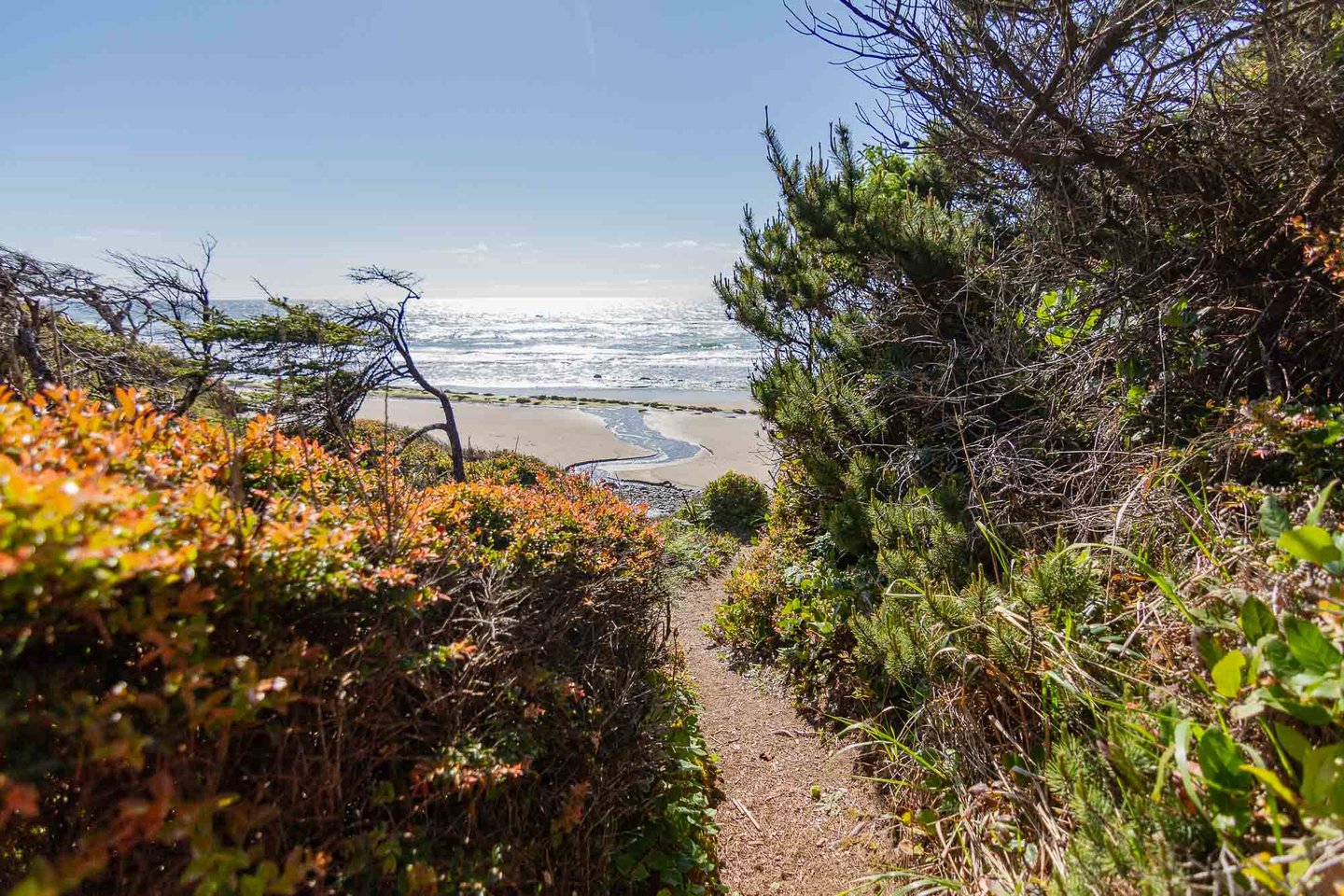 Where the beach path ends