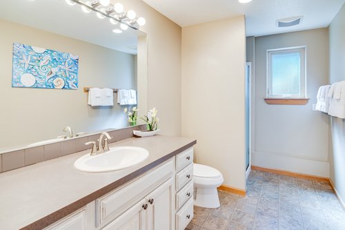 A bathroom with a walk-in shower on the lower level.