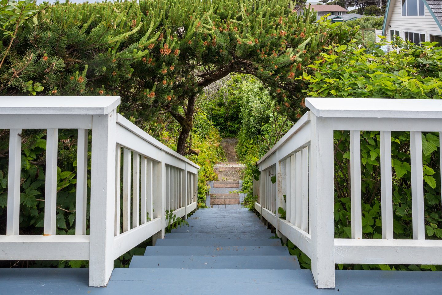 Access to the beach path is right off of the deck.