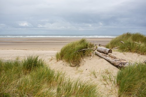 Miles of sandy beach to explore.