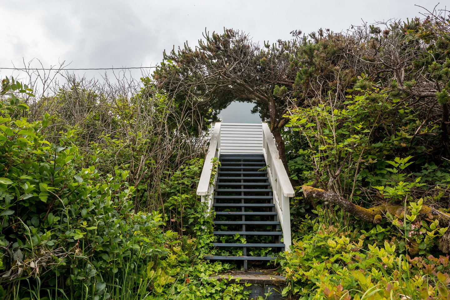 Steps down to the beach path from the deck.