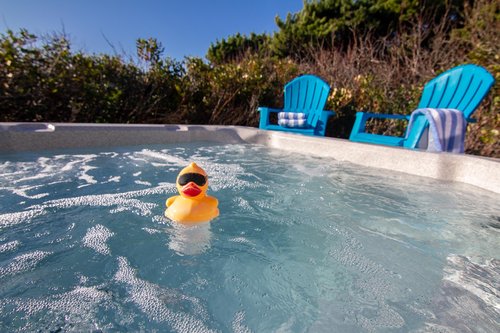 This cool guy is waiting to greet you in the hot tub.