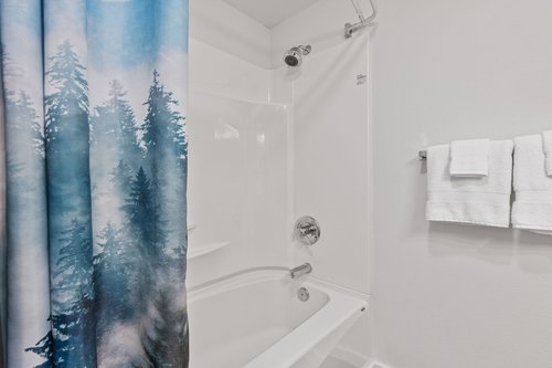 Tub/shower combo in the full bath.