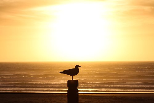 Beautiful sunsets abound in Newport!