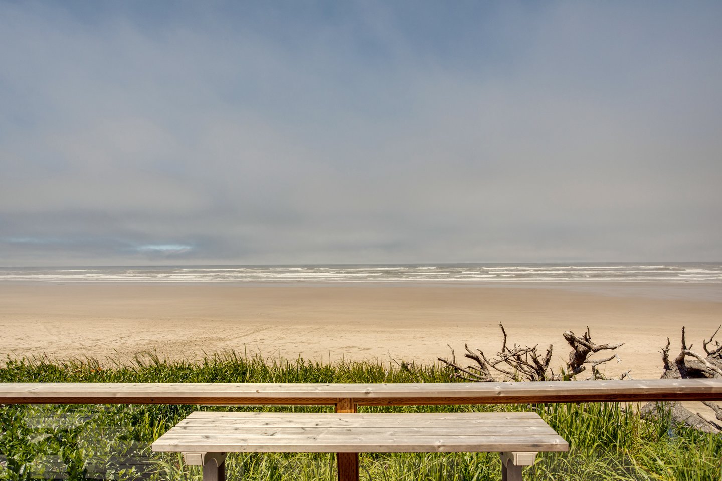 Sit on the deck and watch the seagulls fly by.