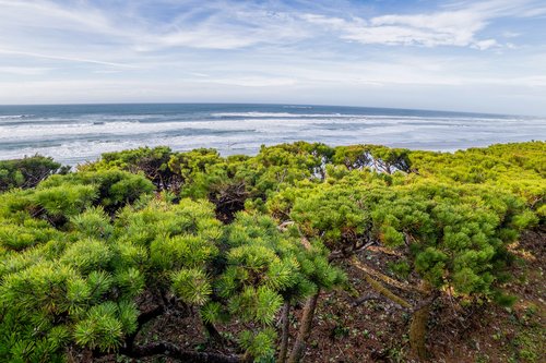 An amazing ocean view right from your deck.