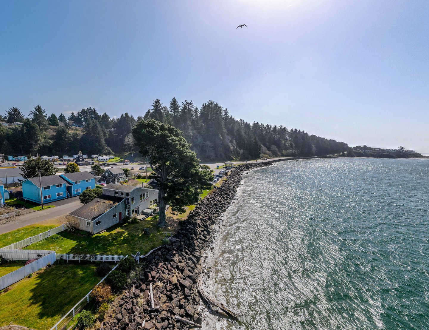 Walk around the point when tide is low to where the ocean meets the bay.