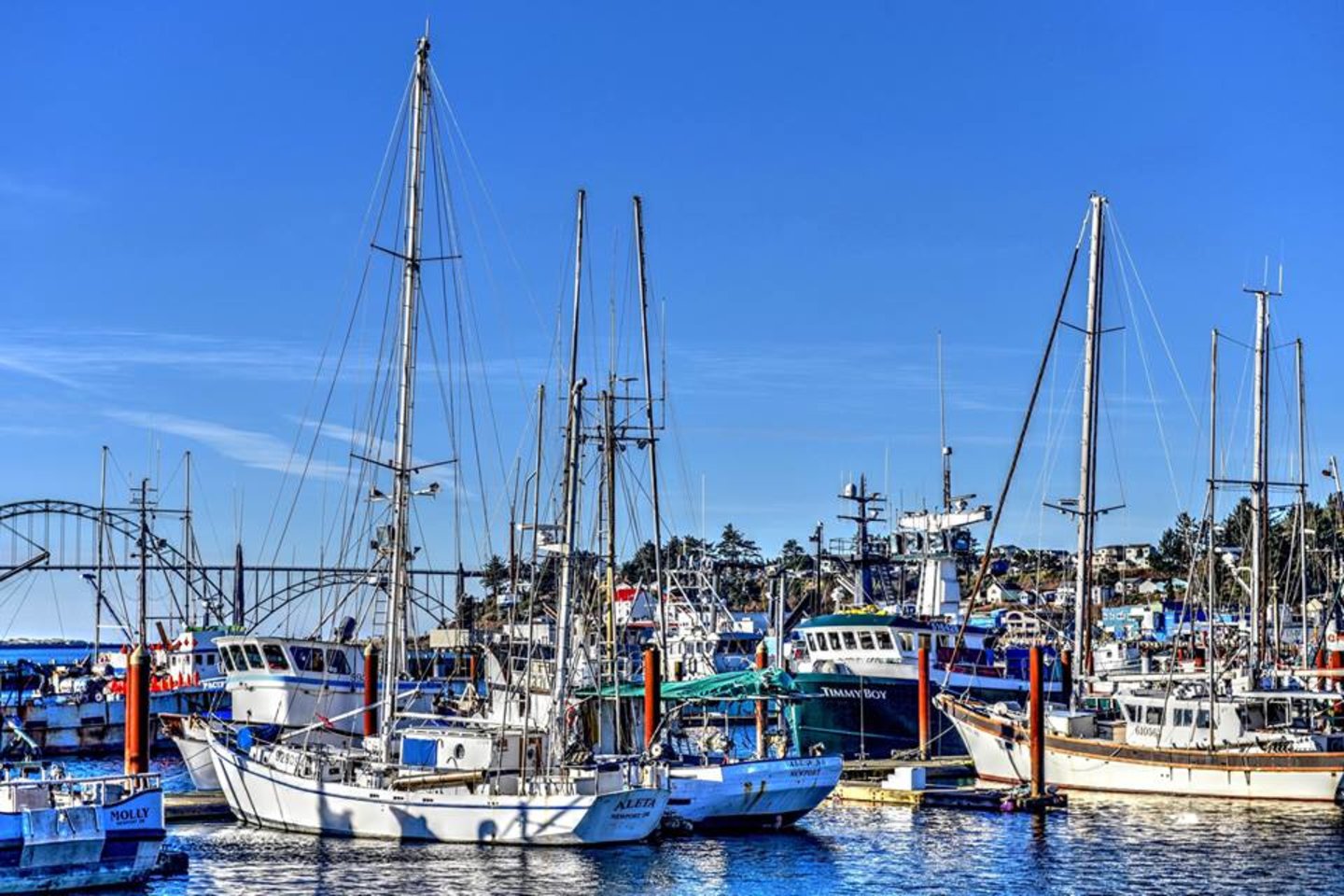 Watch the fishing boats come and go every day.