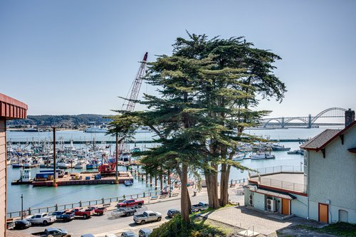 Watch the fishing fleet come and go.