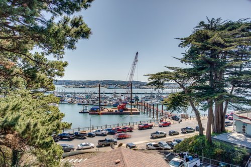 Watch the fishing fleet come and go.