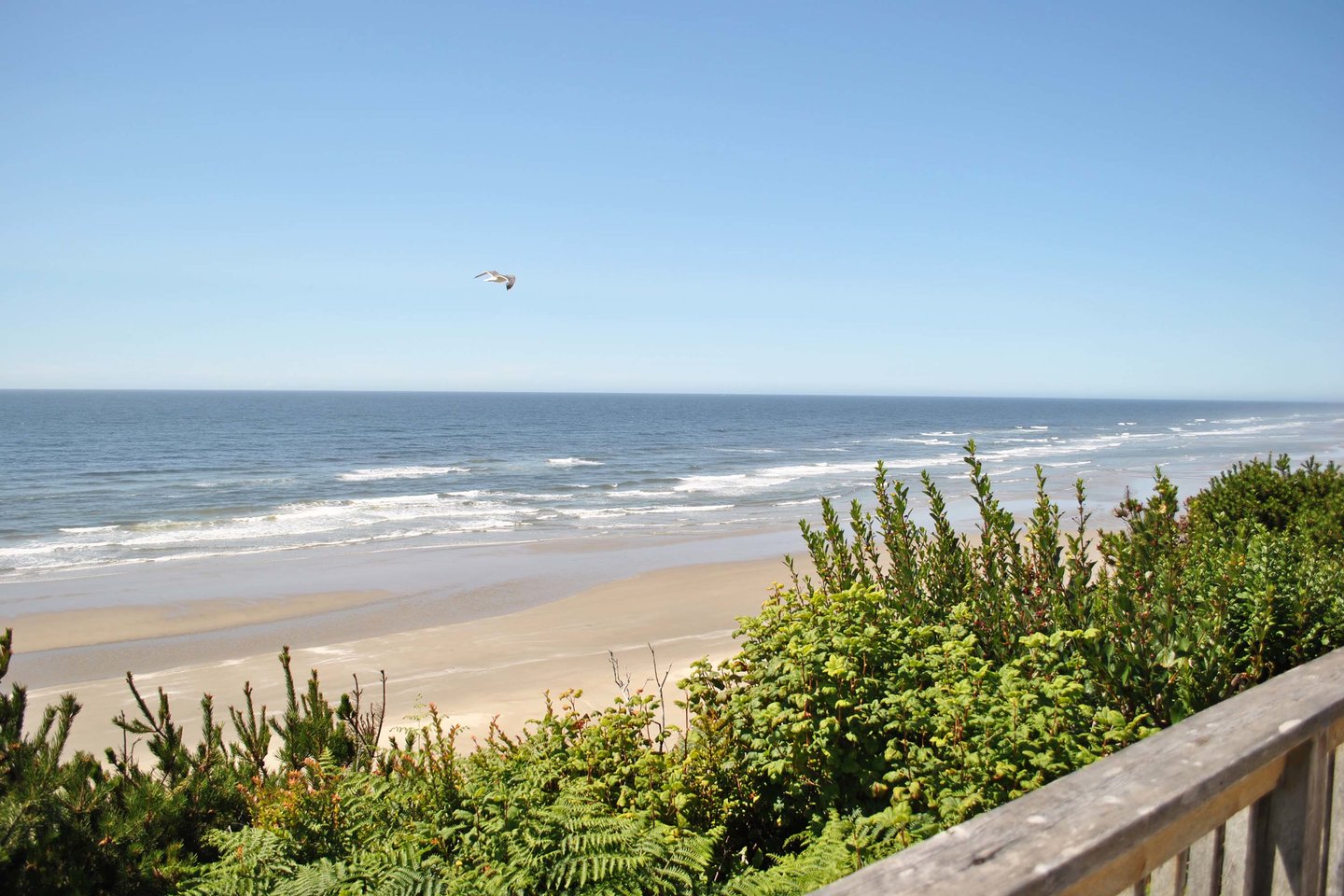 Ocean view to the north from the deck.