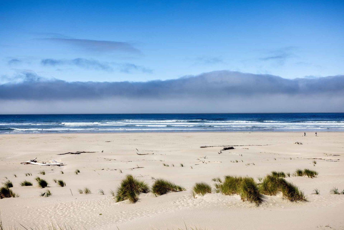 Beautiful Pacific Ocean.