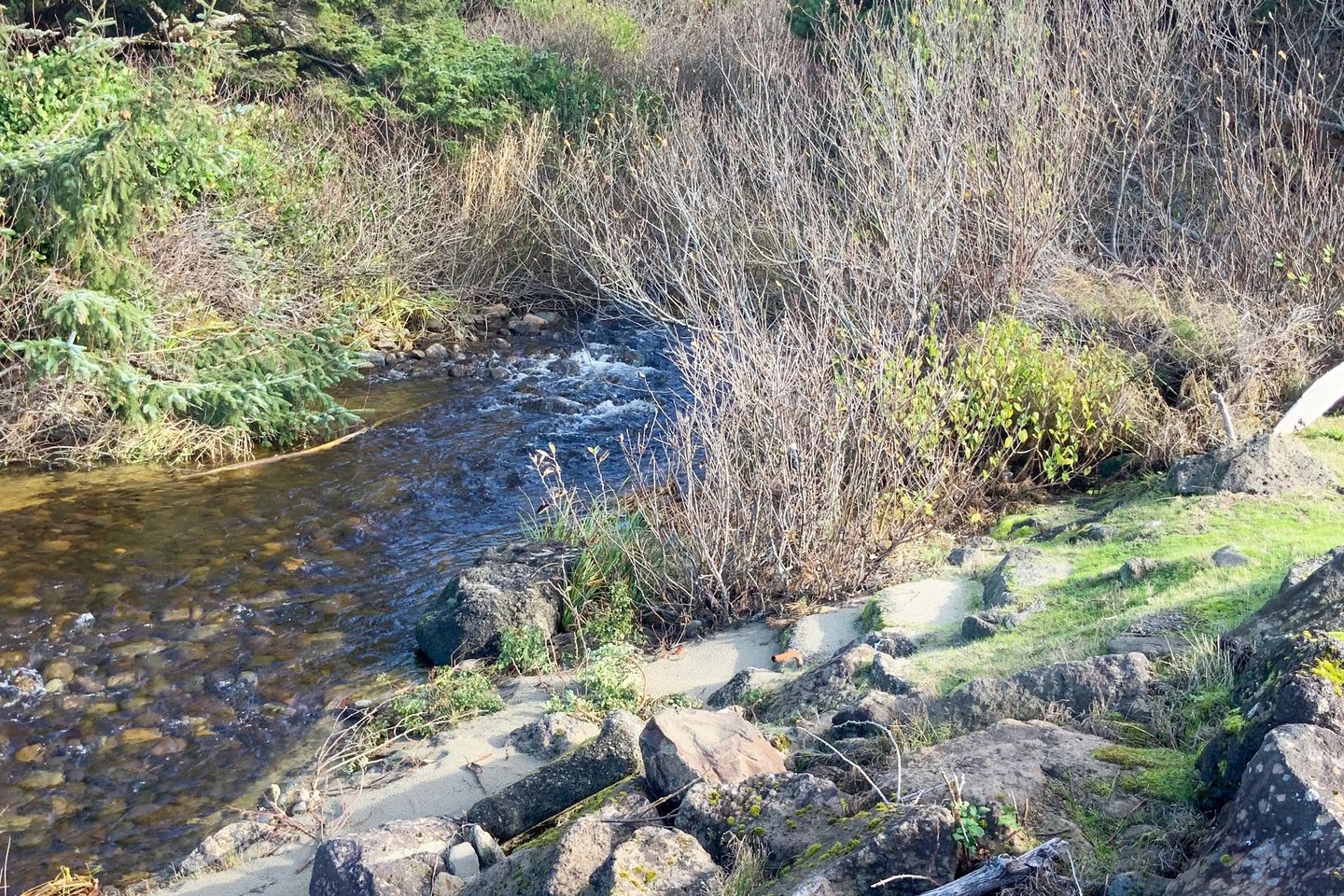 Vingie Creek runs along the north side of the house.