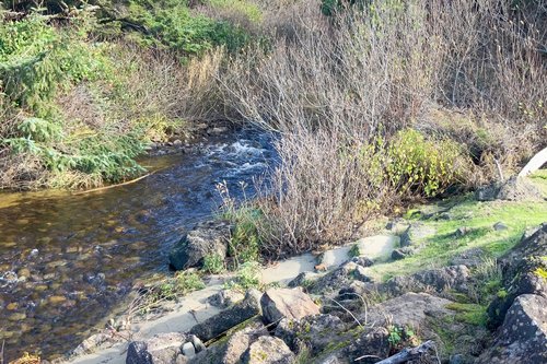 Vingie Creek runs along the north side of the house.