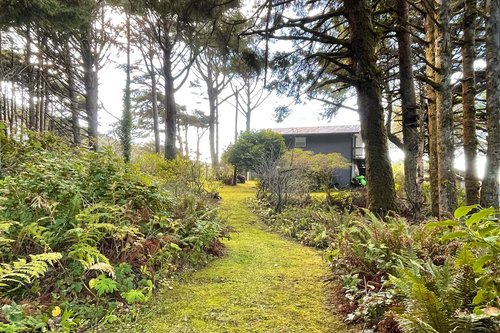 Surrounded by the forest.