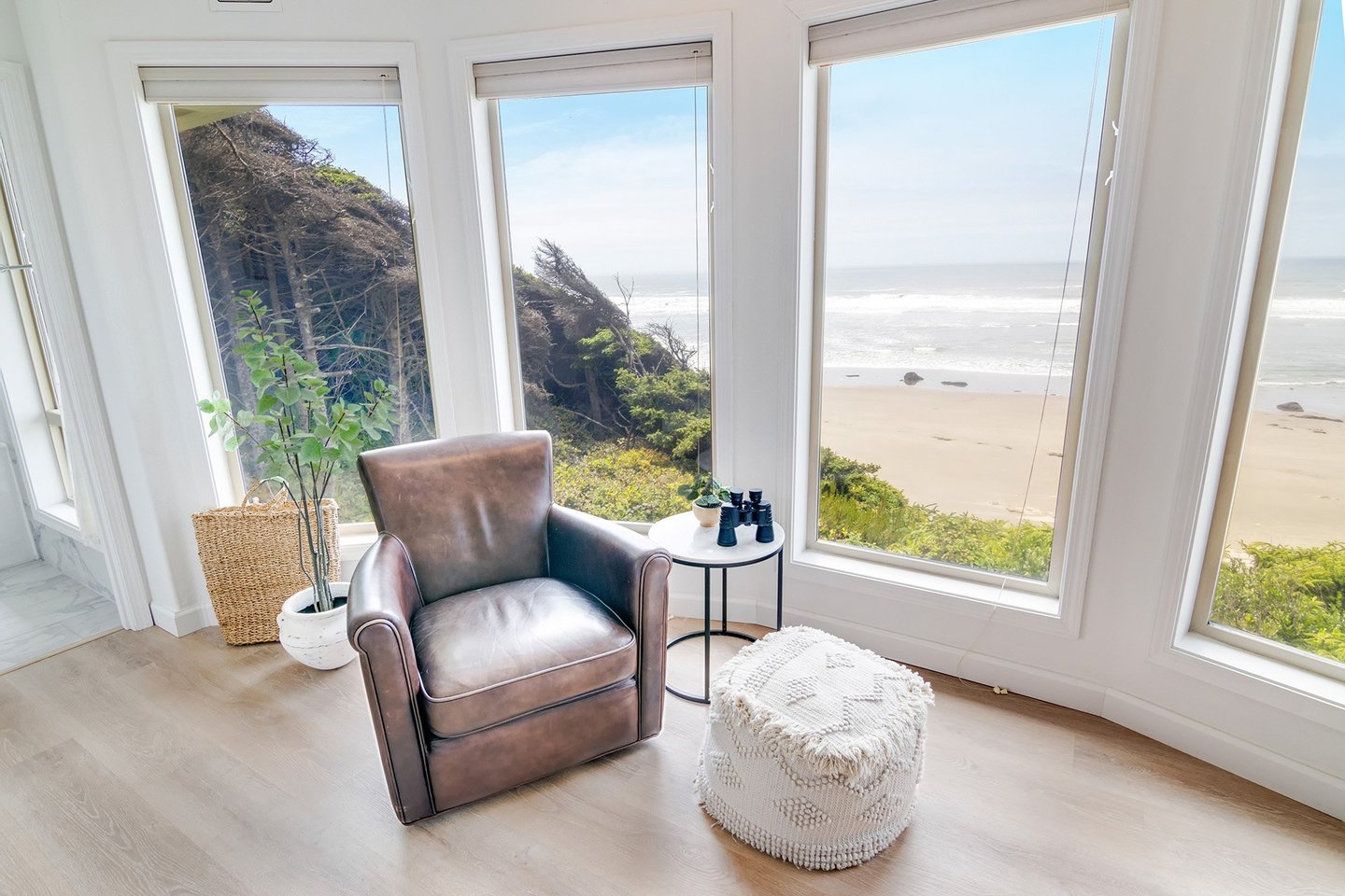 Sit and watch the wildlife that can be found in Seal Rock.