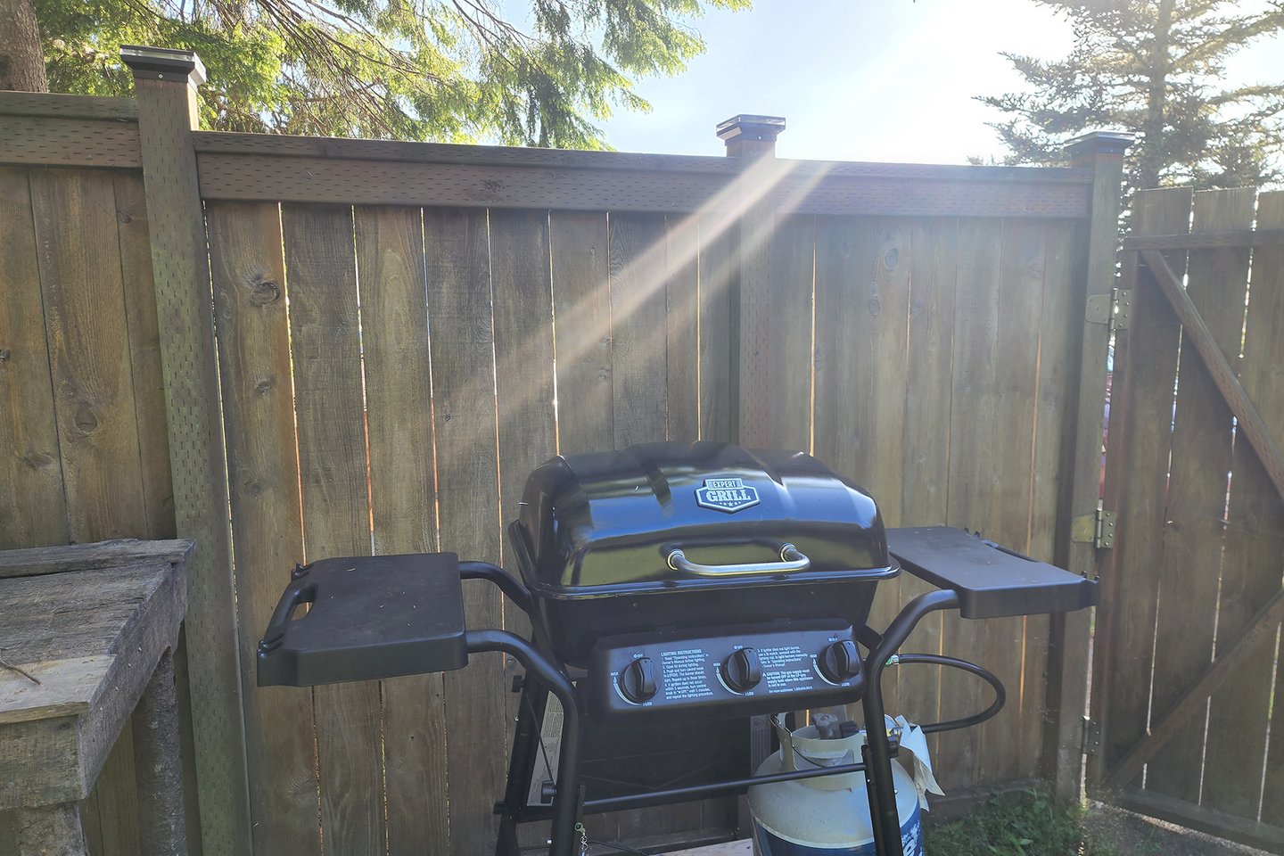 Grill up a favorite meal or the catch of the day.