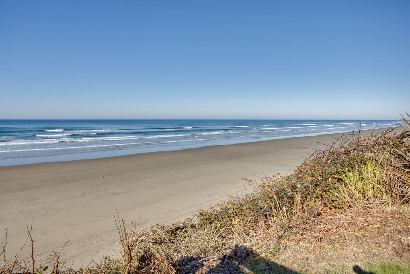 Watch for whales during the migration months.
