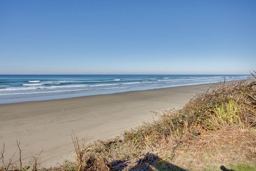 Watch for whales during the migration months.