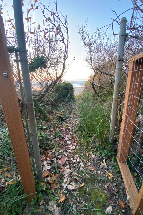 Through the gate to the beach.