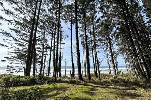 Wonderful nature and views to enjoy.