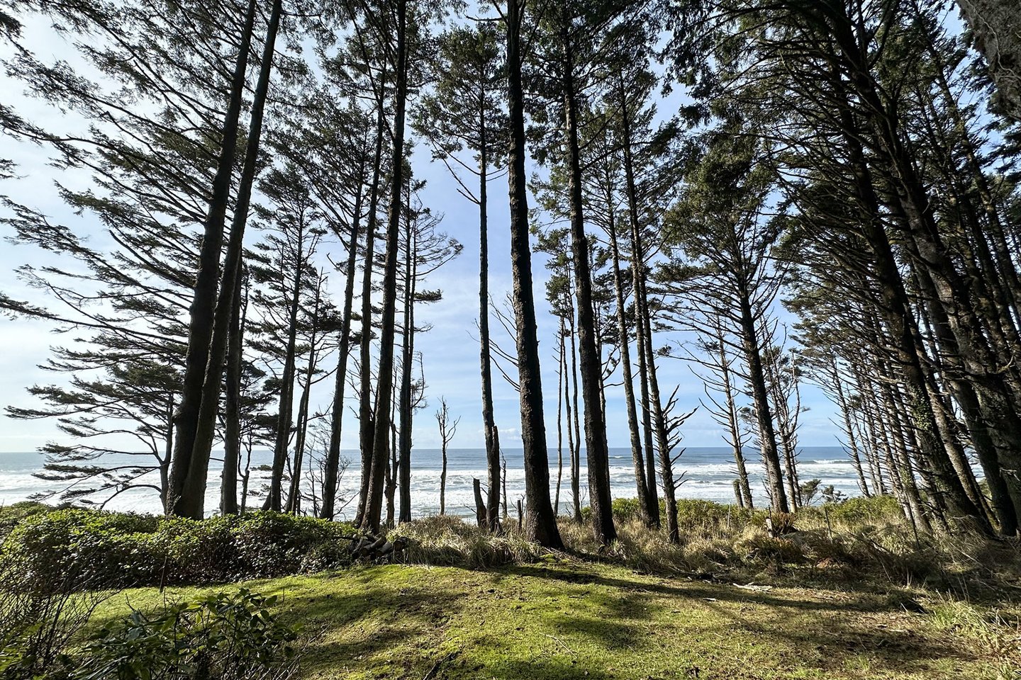 Wonderful nature and views to enjoy.